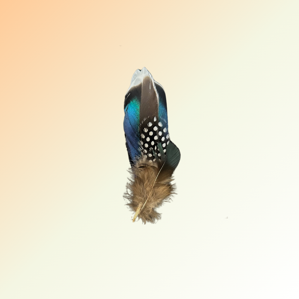 Feather Cluster